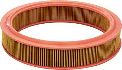 CHAMPION AIR FILTER (CAF100224R)