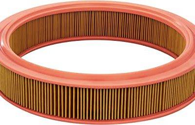 CHAMPION AIR FILTER (CAF100224R)