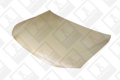 ARMOURTEC Bonnet (VW0500BN01)