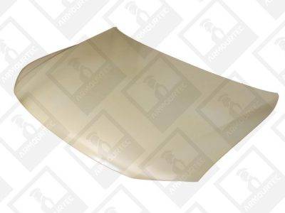 ARMOURTEC Bonnet (VW0500BN01)