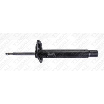 TYNDALL SHOCK FRONT (SHG141016)