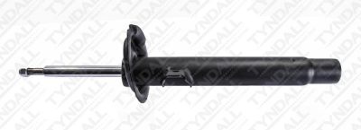 TYNDALL SHOCK FRONT (SHG141016)