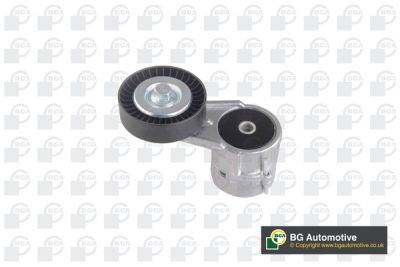 BGA Belt Tensioner (DC9503)