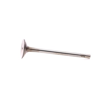 BGA Exhaust Valve (V165640)
