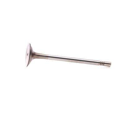 BGA Exhaust Valve (V165640)