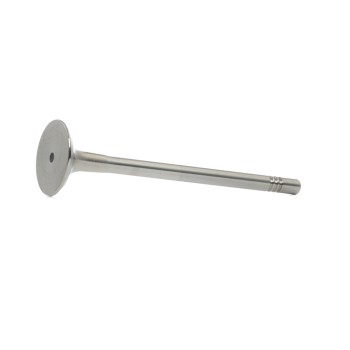 BGA Exhaust Valve (V165651)