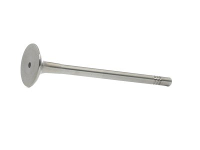 BGA Exhaust Valve (V165651)