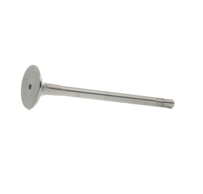 BGA Exhaust Valve (V165651)