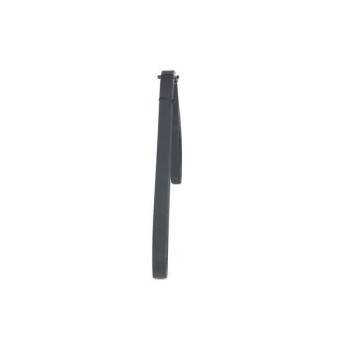 BOSCH MULTI V-BELT (1987946023)