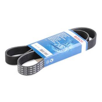 BOSCH MULTI V-BELT (1987946250)