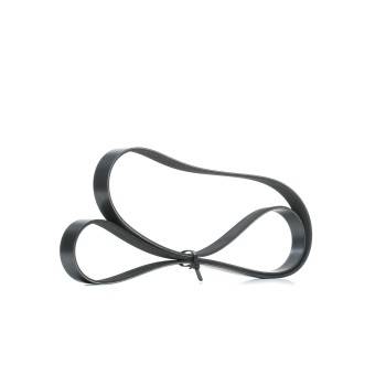 BOSCH MULTI V-BELT (1987946260)