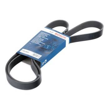 BOSCH MULTI V-BELT (1987948313)