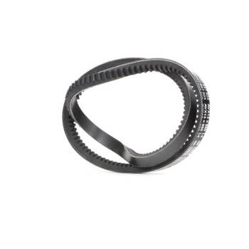 BOSCH V-Belt (1987947503)