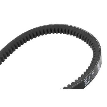 BOSCH V-Belt (1987947653)