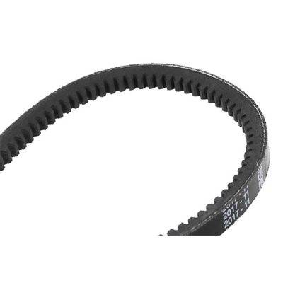 BOSCH V-Belt (1987947653)