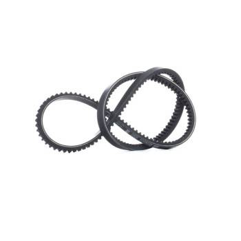 BOSCH V-Belt (1987947656)