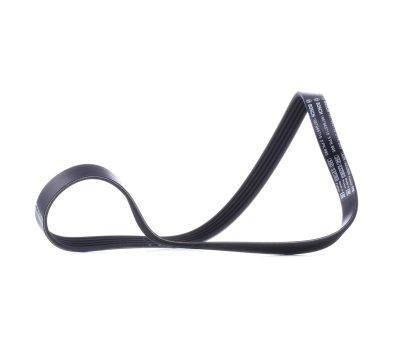 BOSCH V-Belt (1987947715)