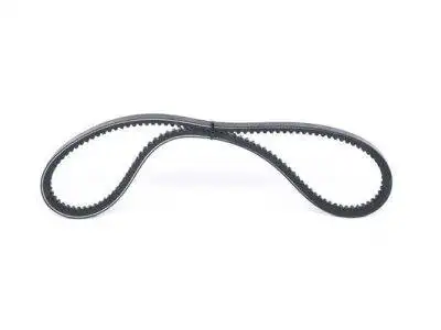 BOSCH V-Belt (1987948150)