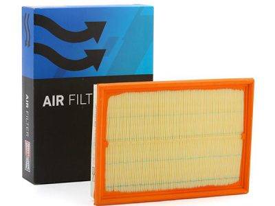 CHAMPION AIR FILTER (CAF100718P)