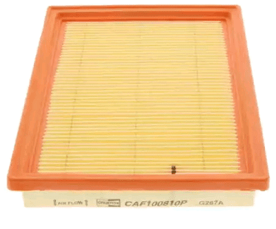 CHAMPION AIR FILTER (CAF100810P)