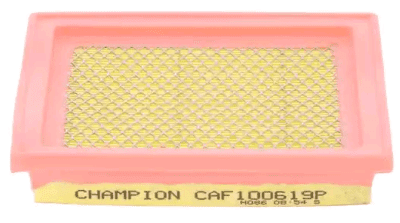 CHAMPION AIR FILTER (CAF100619P)