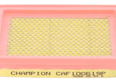 CHAMPION AIR FILTER (CAF100619P)