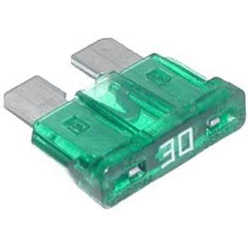FUSE 30AMP