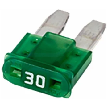 MICRO FUSE 30AMP (9101000640)