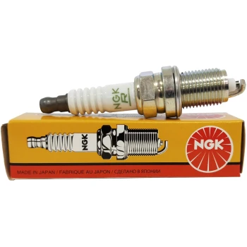 NGK SPARK PLUG  (9105002130)