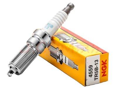 NGK SPARK PLUG (TR5B-13)