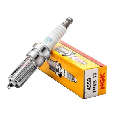 NGK SPARK PLUG (TR5B-13)