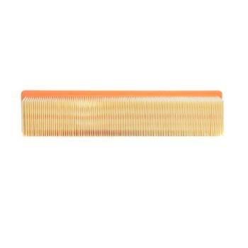 CHAMPION AIR FILTER (CAF100817P)