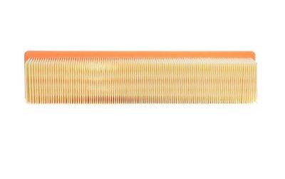 CHAMPION AIR FILTER (CAF100817P)