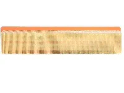 CHAMPION AIR FILTER (CAF100817P)
