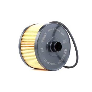 BOSCH OIL FILTER (F026407231)