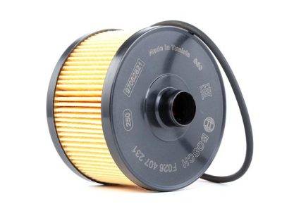 BOSCH OIL FILTER (F026407231)