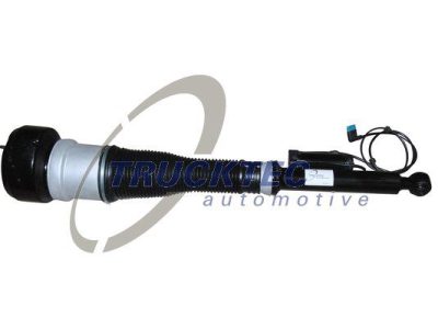 TRUCKTEC Air Spring Strut REAR LEFT (02.30.173)