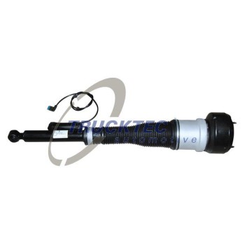 TRUCKTEC Air Spring Strut REAR Right (02.30.172)