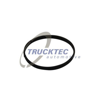 TRUCKTEC Intake manifold Gasket (02.14.174)