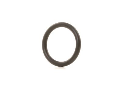 TRUCKTEC Oil dipstick Gasket (08.10.096)