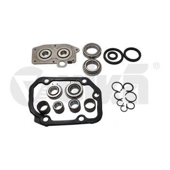 VIKA Gearbox Repair Kit (33001688101)