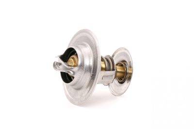 Borsehung Thermostat (B18723)