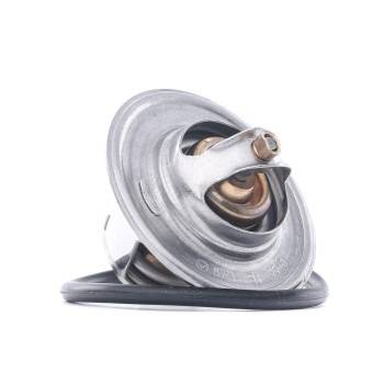 Borsehung Thermostat (B13140)