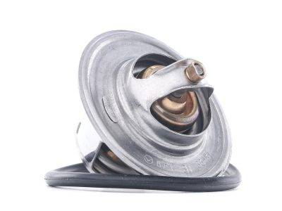 Borsehung Thermostat (B13140)