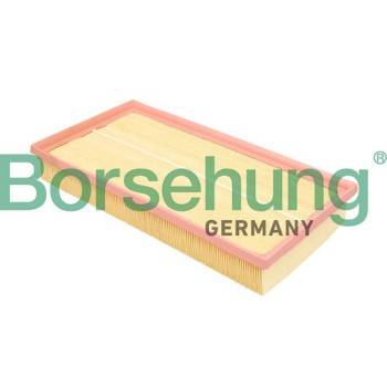 Borsehung Air Filter (B18293)