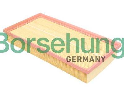 Borsehung Air Filter (B18293)