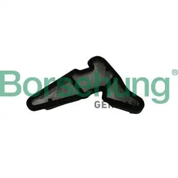 Borsehung oil pump pipe (B19034)
