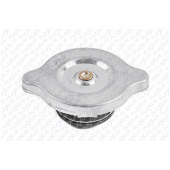 PLEXUS RADIATOR CAP  (9102300313)