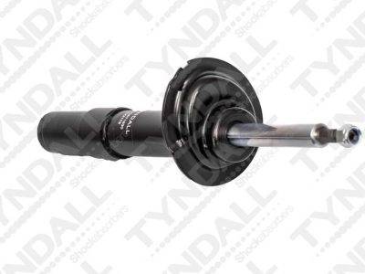 TYNDALL SHOCK FRONT (SHG671630)