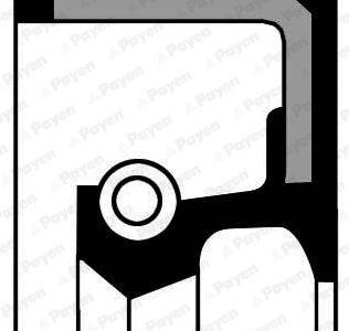 PAYEN Crankshaft seal (NC065)